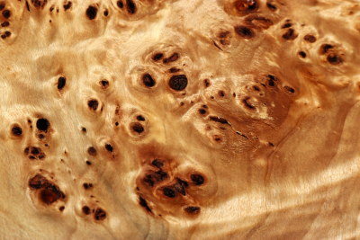 Poplar Burl 300x230x120mm- PapM0256