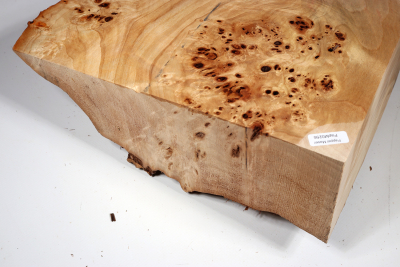 Poplar Burl 300x230x120mm- PapM0256