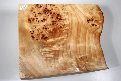 Poplar Burl 300x230x120mm- PapM0256