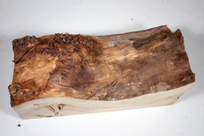 Poplar Burl 350x160x150mm- PapM0264