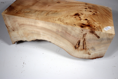 Poplar Burl 350x160x150mm- PapM0264