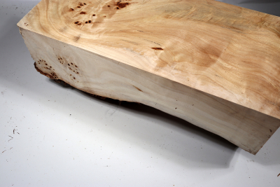 Poplar Burl 350x160x150mm- PapM0264