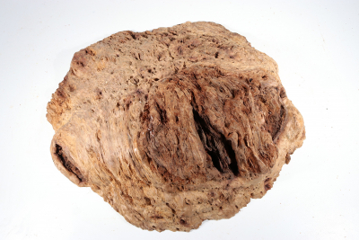 Red Mallee Burl 500x430x140mm - RedMaM0316