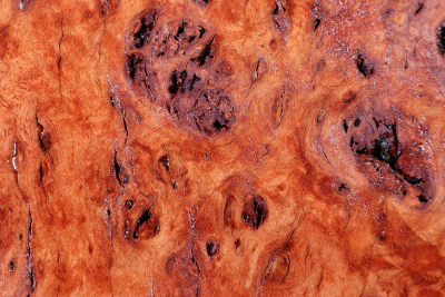 Red Mallee Burl 500x430x140mm - RedMaM0316