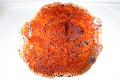 Red Mallee Burl 500x430x140mm - RedMaM0316