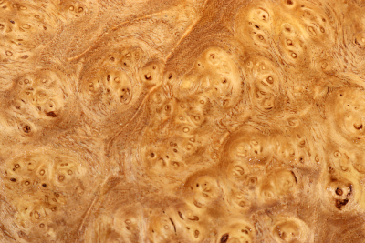 Blank Japanese Pagoda Tree Burl 250x210x67mm - Schnu0286
