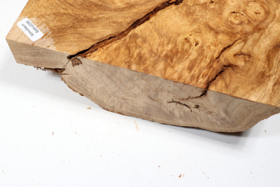 Blank Japanese Pagoda Tree Burl 250x210x67mm - Schnu0286