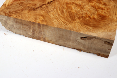 Blank Japanese Pagoda Tree Burl 250x210x67mm - Schnu0286