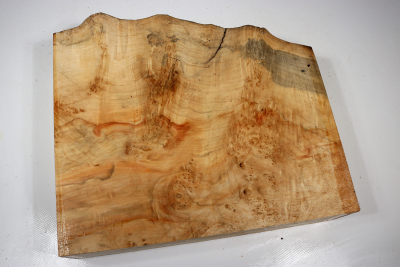 Maple Burl 280x260x65mm - AhoM0356