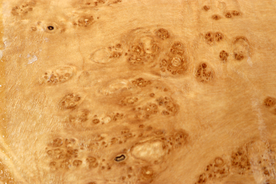 Maple Burl 280x260x65mm - AhoM0356