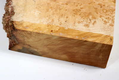 Maple Burl 280x260x65mm - AhoM0356