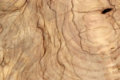 Burl Cap Olivetree 185x145x90mm - Oliv0687