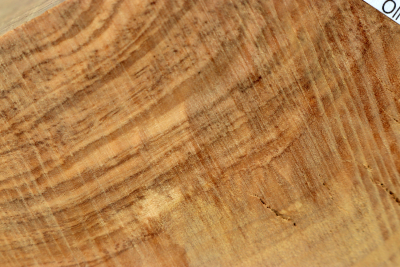 Maserknolle Olive 200x120x110mm - Oliv0834