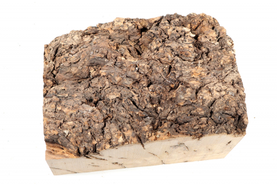 Burl Cap Olivetree 200x145x120mm - Oliv686