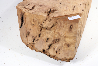 Burl Cap Olivetree 200x145x120mm - Oliv686