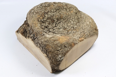 Burl Cap Olivetree 220x200x110mm - Oliv297