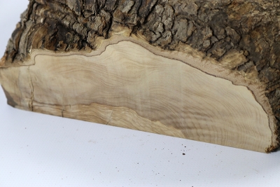 Burl Cap Olivetree 220x200x110mm - Oliv297