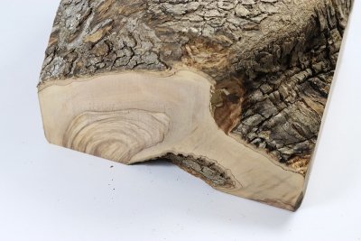 Burl Cap Olivetree 220x200x110mm - Oliv297