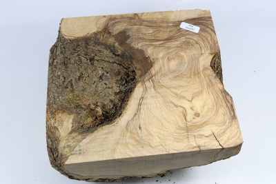 Burl Cap Olivetree 220x200x110mm - Oliv297