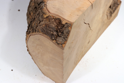 Burl Cap Olivetree 270x170x150mm - Oliv833