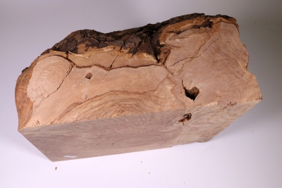 Burl Cap Olivetree 270x240x150mm - Oliv370