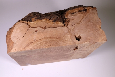 Burl Cap Olivetree 270x170x150mm - Oliv833