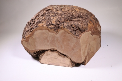 Burl Cap Olivetree 300x240x210mm - Oliv371