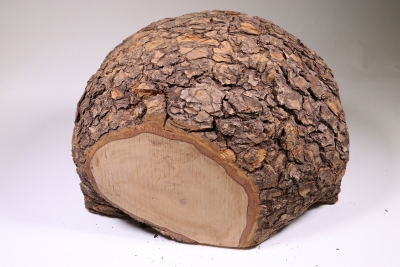 Burl Cap Olivetree 300x240x210mm - Oliv371