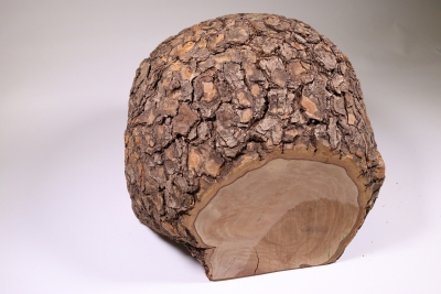 Burl Cap Olivetree 300x240x210mm - Oliv371