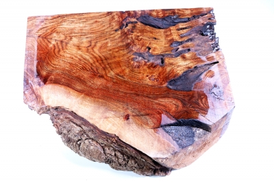 Chechen Burl 340x290x65mm - ChechM0176