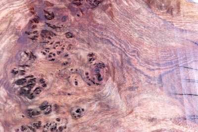 Chechen Burl 340x290x65mm - ChechM0176