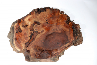 Walnut Burl 600x460x65mm - NusBM0775