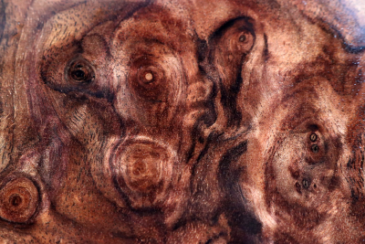 Walnut Burl 600x460x65mm - NusBM0775