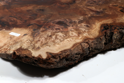 Walnut Burl 600x460x65mm - NusBM0775