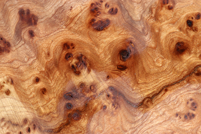 Elm Burl 500x490x25mm - RuesM0510