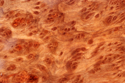 Blank Vavona Burl 530x240x60mm - VavoM0368