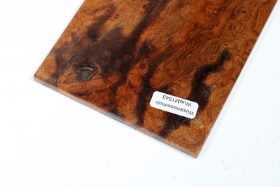 Desert Ironwood Burl 200x100x5mm - WueM1543