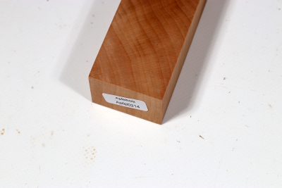 Knife Block Apple Tree XCut - Apfel0214