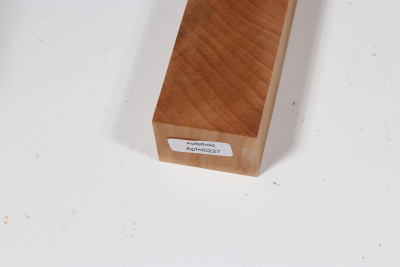 Knife Block Apple Tree XCut - Apfel0227
