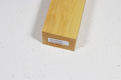 Knife Block Boxwood - Buchs0397