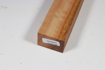 Messergriffblock Eukalyptus - Euka0139