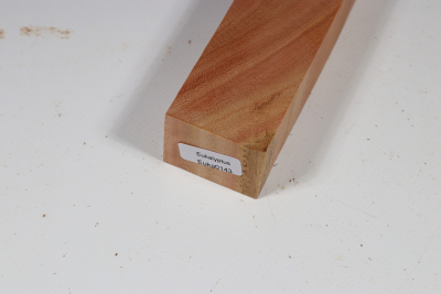Messergriffblock Eukalyptus X-Cut - Euka0143