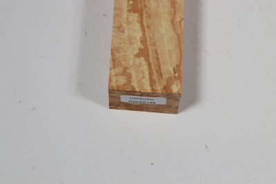 Knife Block Hornbeam spalted - Hainb0188