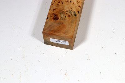 Knife Block Linden Tree Burl - LinM0211