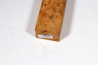 Knife Block Linden Tree Burl - LinM0212