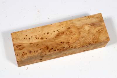 Knife Block Linden Tree Burl - LinM0213