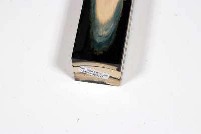 Knife Block Mammoth Ivory stabilized - Mamm0270