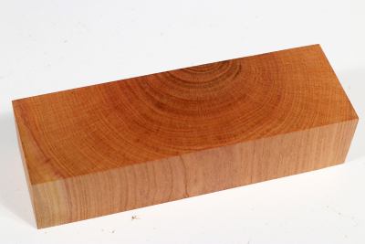 Knife Block Plum Tree XCut - Pflau0353