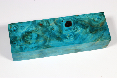Knife Blank Horse Chestnut Burl blue stabilized - Stabi3256