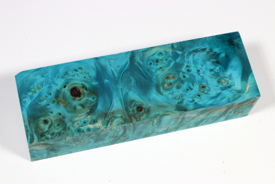 Knife Blank Horse Chestnut Burl blue stabilized - Stabi3256